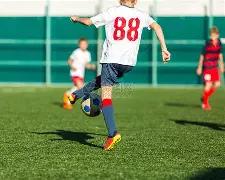 湖人击败森,林狼,芬奇炮轰防,乐竞体育官网,乐竞体育直播,体育赛事直播,足球直播