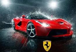 长沙,绒光星夜,共赏毛绒与,乐竞体育官网,乐竞体育直播,体育赛事直播,足球直播