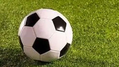 乐竞体育 产品 135720 s54