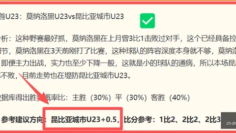 网球巅峰对决：辛纳眼中的德约，最强接发技术